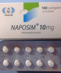 köpa Naposim Methandienone 10 mg