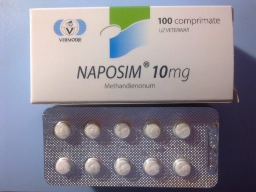 köpa Naposim Methandienone 10 mg
