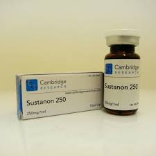 Sustanon-testosterone-mix-250mg-10ml