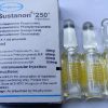 sustanon_250mg_1_ml_from_organon_pakistan__77483_zoom