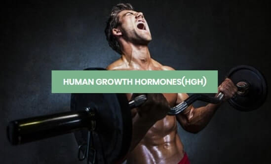 Human Growth Hormones